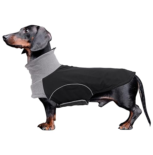 babepet Dachshund Winter Coat,Waterproof Miniature Dachshund Clothes Jacket,Small Dog Coat with Harness Slot,Dachshund Jumper withTurtle Neck,Pet Garment Ideal for Walking,Hiking,Camping-Black-L