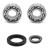 Hochwertige Kugellager und Wellendichtringe für die Kurbelwelle