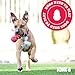 KONG Classic Stuffable Dog Toy - Fetch & Chew Toy for Dogs - Treat-Filling Capabilities & Erratic Bounce for Extended Play Time - Durable Natural Rubber Material - for Large Dogs