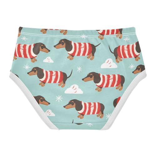 Wusikd Dachshund Dogs Girls' Underwear Cotton Red Girls Briefs Soft Toddler Underwear 2T2