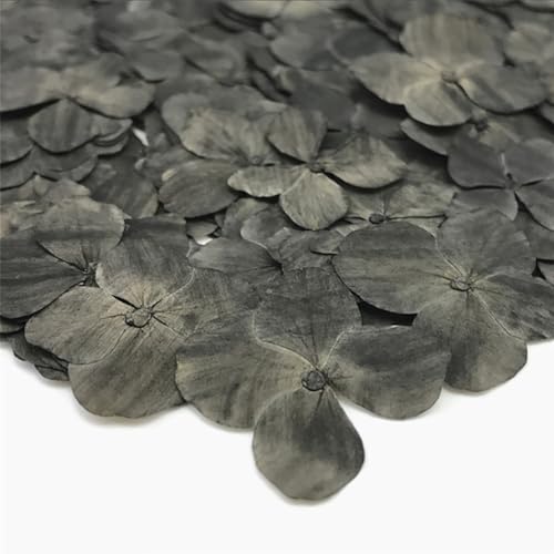 48 Pcs Flores Secas Hortensia Negra para Manualidades miniatura 1