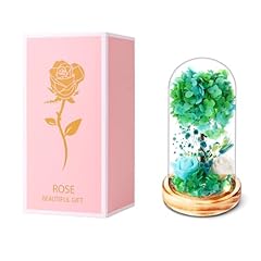 Hydrangea Tree-green