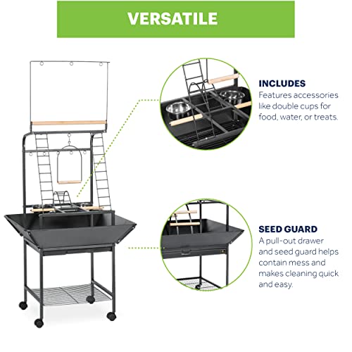 Image of Prevue Pet Products Small Parrot Playstand with Wheels, Bird Stand Activity Play Center with Perches and Ladders, Indoor Outdoor Playground for Birds with Swing, Black Hammertone Finish