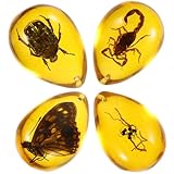 LIFKOME 4 Stück Bernsteinanhänger mit Realistischen Insekten Dekorative Harzproben für Selbstgemacht Basteln und Sammler Naturgetreu und Formschön Vielseitige Schreibtisch und
