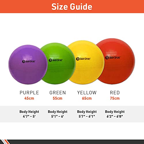Body Sport Slow Release 45cm Exercise Ball with Pump, Gym Equipment for Home or Office, Stability Fitness Ball, Pregnancy Ball, Core Strength Training Equipment