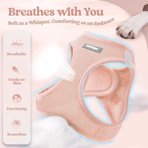 Image of rabbitgoo Dog Harness Medium Sized and Leash Set, Step-in Puppy Pet Vest