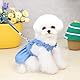 Hundekleid Welpen Luxusrock Hundekleidung Prinzessin Kleider Hochzeitsabendkleid Tutu Rock Jeansrock für Kleine Hunde Mäd Chen