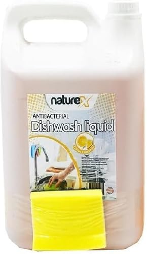 NatureX Antibacterial Dishwashing Liquid Refill with Sponge 2 Liter