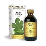 Dr Giorgini Integratore Alimentare, Fico Gemmoderivato Concentrato Liquido Analcoolico - 100 ml