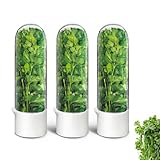 UEOZ Herb Keeper for Refrigerator, Herb Saver for Refrigerator, Cilantro Container, Vegetable Preservation Bottle for Cilantro, Mint, Parsley, Asparagus, Keeps Greens Fresh for 2-3 Weeks (3PCS)