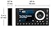 SiriusXM SXPL1V1 Onyx Plus Satellite Radio with Vehicle Kit – Easy to Install, Enjoy SiriusXM on Your Existing Car Stereo with This Dock and Play Radio