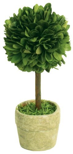 Mills Floral Company Box Topiary, Single, Mini 2.5