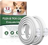 Collare Antiparassitario per Cani, Antiparassitario Collare Antipulci cane per Tutti i Tipi di Cani, Regolabile Impermeabile, 12 Mesi di Efficacia Protezione, 65cm Taglia Unica (2, 65cm*2)