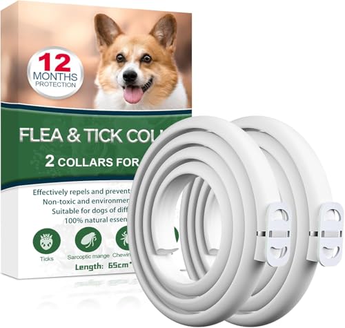 Collare Antiparassitario per Cani, Antiparassitario Collare Antipulci cane per Tutti i Tipi di Cani, Regolabile Impermeabile, 12 Mesi di Efficacia Protezione, 65cm Taglia Unica (2, 65cm*2)