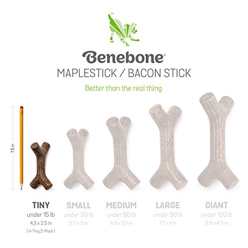 Brinquedo Puppy Pack Benebone Maplestick+Zaggler Bacon