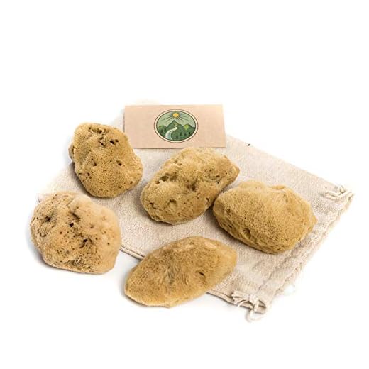 Esponjas menstruales sin blanquear en un juego de 5 (esponja natural de Vevantina), esponja menstrual como reemplazo sostenible de tampón, sin plástico y sin plástico.