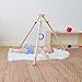 The Activity Gym by Monti Kids: Level 1 Includes Wooden Baby Gym/Baby Activity Center with Montessori Mobiles, Toys & Rattles; Parent Education and Support from Montessori Educators. Safety Certified.