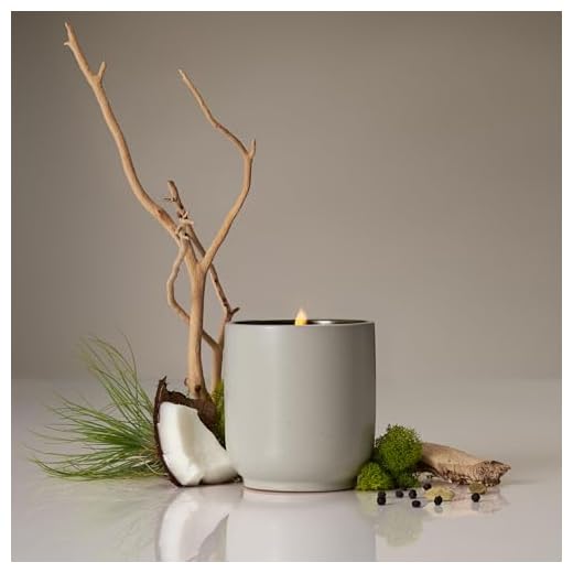 Homecourt Luxury Scented Candle, 60-Hour Burn Time, Soy Wax Blend & Organic Cotton Wick, Kiln-Fired Reusable Ceramic Vessel, Cocomoi, 8 oz