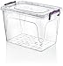 HOBBY LIFE Maxi Multi-Box, 21 l, tworzywo sztuczne, przezroczyste