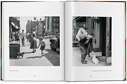 Cats: Photographs 1942 - 2018
