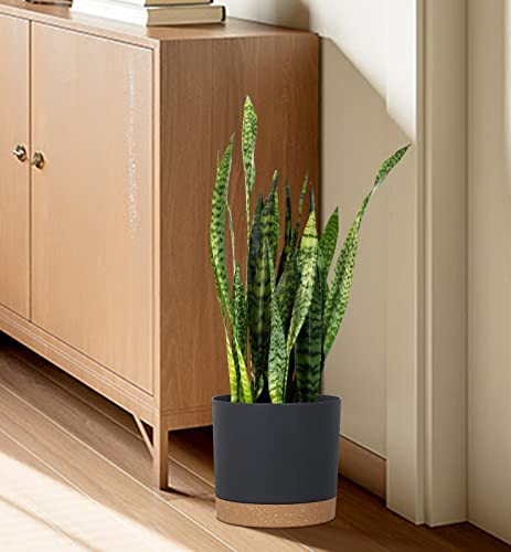Kubvici Plant Pots For Indoor Plants, 2 Pack 10 Inch Plant Pot Plastic Flower Pots Planters With Drainage Saucer For Indoor Outdoor Garden Home (10" Black) #TOP5