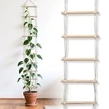 Climbing Plant Ladder for Indoor & Outdoor Use – Wooden Ladder Design Plant Support for Vines, Ivy, Houseplants – Durable & Easy to Install Garden Decor