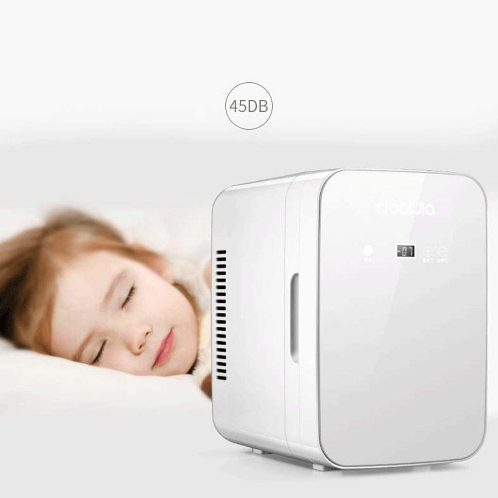 GeRRiT Car Refrigerator, 8L Car Refrigerator, Heater and Cooler 2 Modes, Car Cooler Double Voltage 12V DC 220V AC