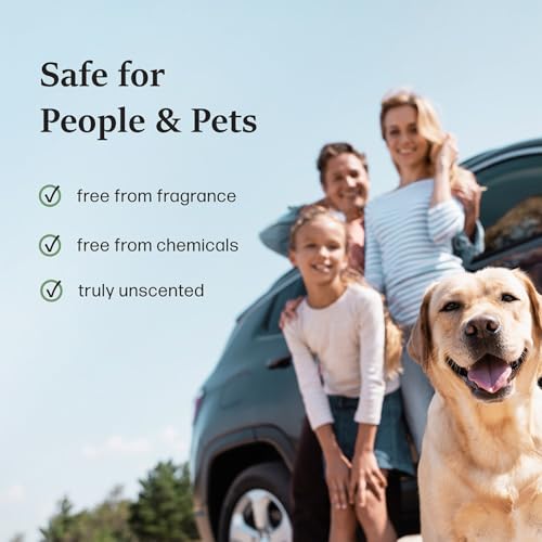 Image of Moso Natural Car Odor Eliminator & Charcoal Odor Absorber, Bamboo Charcoal Air Purifying Bag for Cars, Trucks, SUVs, RVs & Boats - Unscented Deodorizer, Lasts 2 Years, HGTV Editors' Pick