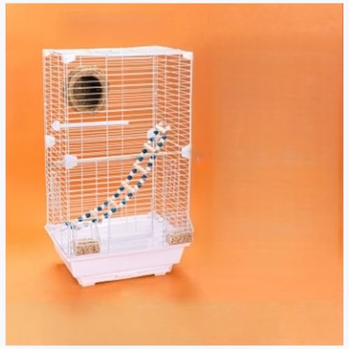  ^ O\ȃgCt ̃CRp ng CR IE IJCRp ^ O\ȃ[OX^hAvȃC[ nht ZLZCCRp (pbP[W-2,zCg)