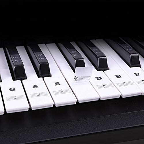 EXCEART 2 Pcs Piano de Teclado Transparente Grande Letra Tecla de Piano Órgão Eletrônico Stave Nota