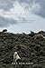 Shepherds of Coyote Rocks: Public Lands, Private Herds and the Natural World