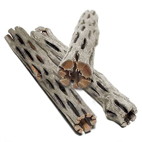 Sungrow Cholla Wood, 5” Climbing Logs, Chew Toy, Aquarium Fish, Snail & Shrimp Driftwood, Décor Adds Raw Beauty, 3 Pack #TOP1
