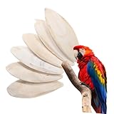 Large application : les os de seiche conviennent à une large gamme d'espèces d'oiseaux, notamment les perruches, les calopsittes et les pinsons, ce qui en fait un ajout polyvalent, os de seiche à mâcher pour oiseaux, os de seiche naturel