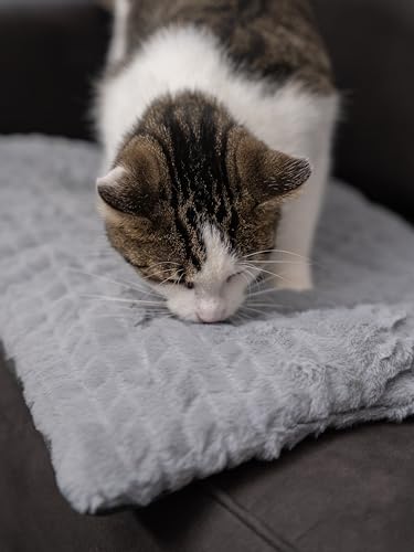 TrendPet Hundedecke Heaven gefütterte Liegedecke, Wendedecke für Hunde und Katzen, Grau (75x55cm)