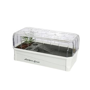 Amazon | カメ水槽大型透明雨水濾過システムカメ生息地飼育箱