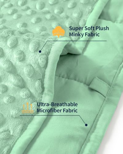 Image of Mr. Sandman Cooling Weighted Blanket for Adults, Queen Size 15 lbs, 60″x80″