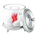 InterDesign York Lyra Vanity Cotton Swab Holder Canister, Satin/Clear