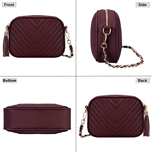 Image of Small Crossbody Purses for Women Quilted Crossbody Shoulder Handbags Trendy Clutch Purse Camera Bag