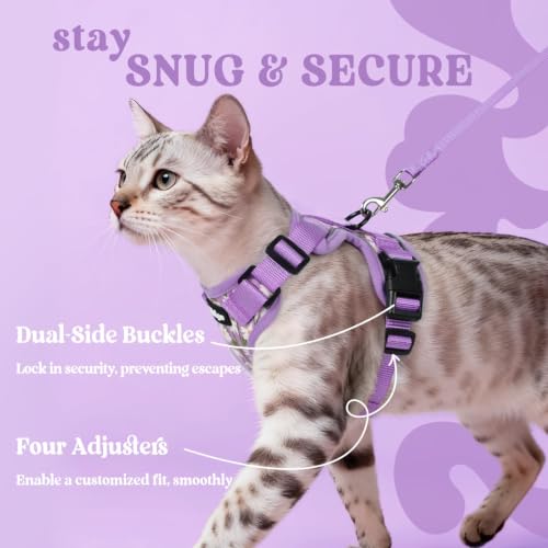 Image of rabbitgoo Cat Harness and Leash Set, Escape Proof Vest, Purr-ple Daisy | Soft Breathable Mesh, Easy Adjustable Fit, Snap Buckles, Sturdy Clip, Reflective Strips, for Small & Average Cats Walks, Xs