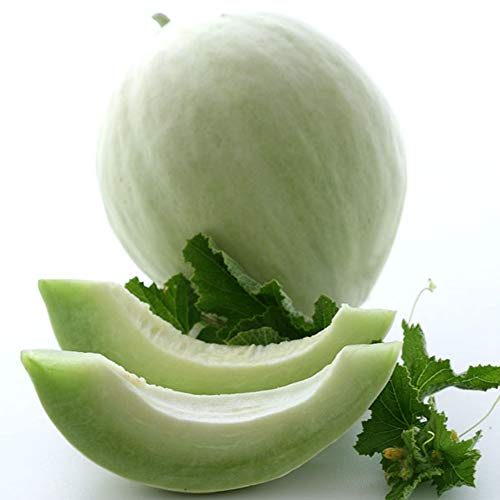 Sustainable Seed Co Organic Green Flesh Honeydew Melon Seeds 1 g ~30 Seeds
