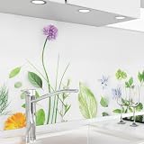 danario Rivestimento Paraschizzi Cucina Adesivo da Parete I Effetto Opaco I Spesso e Rigido I Ignifugo e Resistente all'Acqua I 0,40 mm I Fiori & Erbe – Campione
