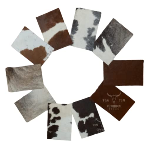 Tomtom Cowhides Nice Variety 10 Pieces Hair on Cow Hide Scrap Leather Hide Remnant (10) Pieces of Approx. 12' x 8'