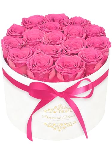 17 Forever Flowers in a Luxury Suede Box