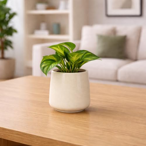 Lasaki Clara Ivory HT25 Ceramic Pots for Indoor Plants, Planters,gamla,Outdoor,Balcony,Home,Round,Garden, Office Decor,Succulent(H - 12.5 X D - 13 cm)(Plants not Included)