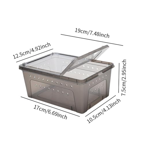 MYCENSE Caixa de alimentação de répteis Habitat Animal Cage portátil Hatching Case Box Caixa de cria
