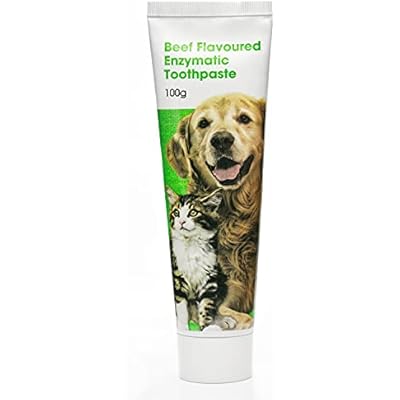 dog toothpaste uk