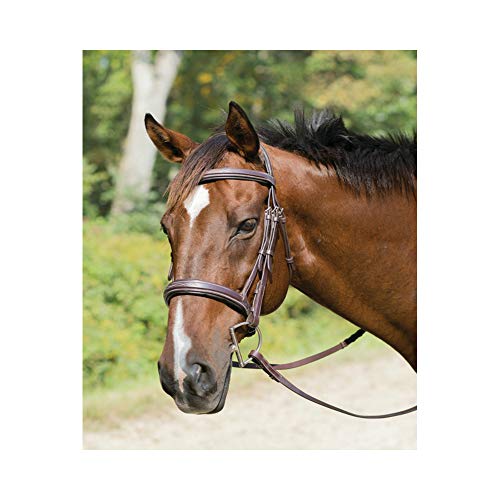 Shires Avignon Wellington Bridle (Horse)
