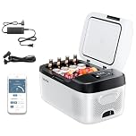 VEVOR Frigorifero Elettrico Portatile per Auto 15 L, Mini Compressore Elettrico CC 12 V 24 V con Modalità Freddo e Caldo Controllo Tramite App, Design Compatto e Antiurto, per Camper Camion Barca