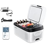 VEVOR Kompressor Kühlbox 15 L,12/24V DC Elektrische Gefrierbox mit App-Steuerung, 100–240 V AC Autokühlschrank für Camping Reisen Lastkraftwagen Angeln, 60 W Thermoelektrische Kühlbox Tragbar