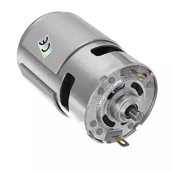 سانيك Rs775 العاصمة موتور 12 V 3000 دورة في الدقيقة
